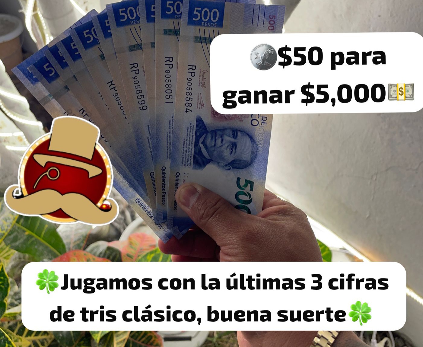 Descripción de la imagen