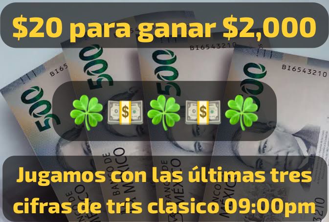 Descripción de la imagen