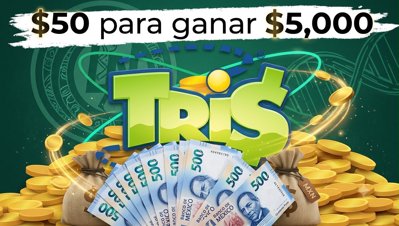 Descripción de la imagen